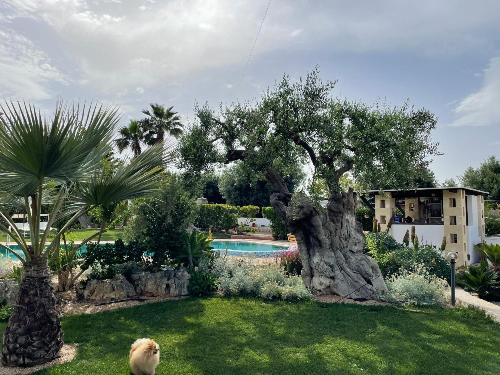 Alla Villa Di Angelo Монополі Екстер'єр фото