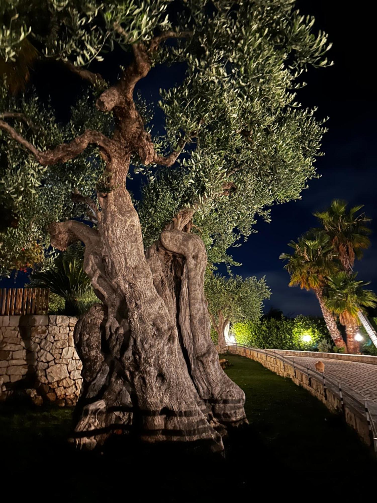 Alla Villa Di Angelo Монополі Екстер'єр фото