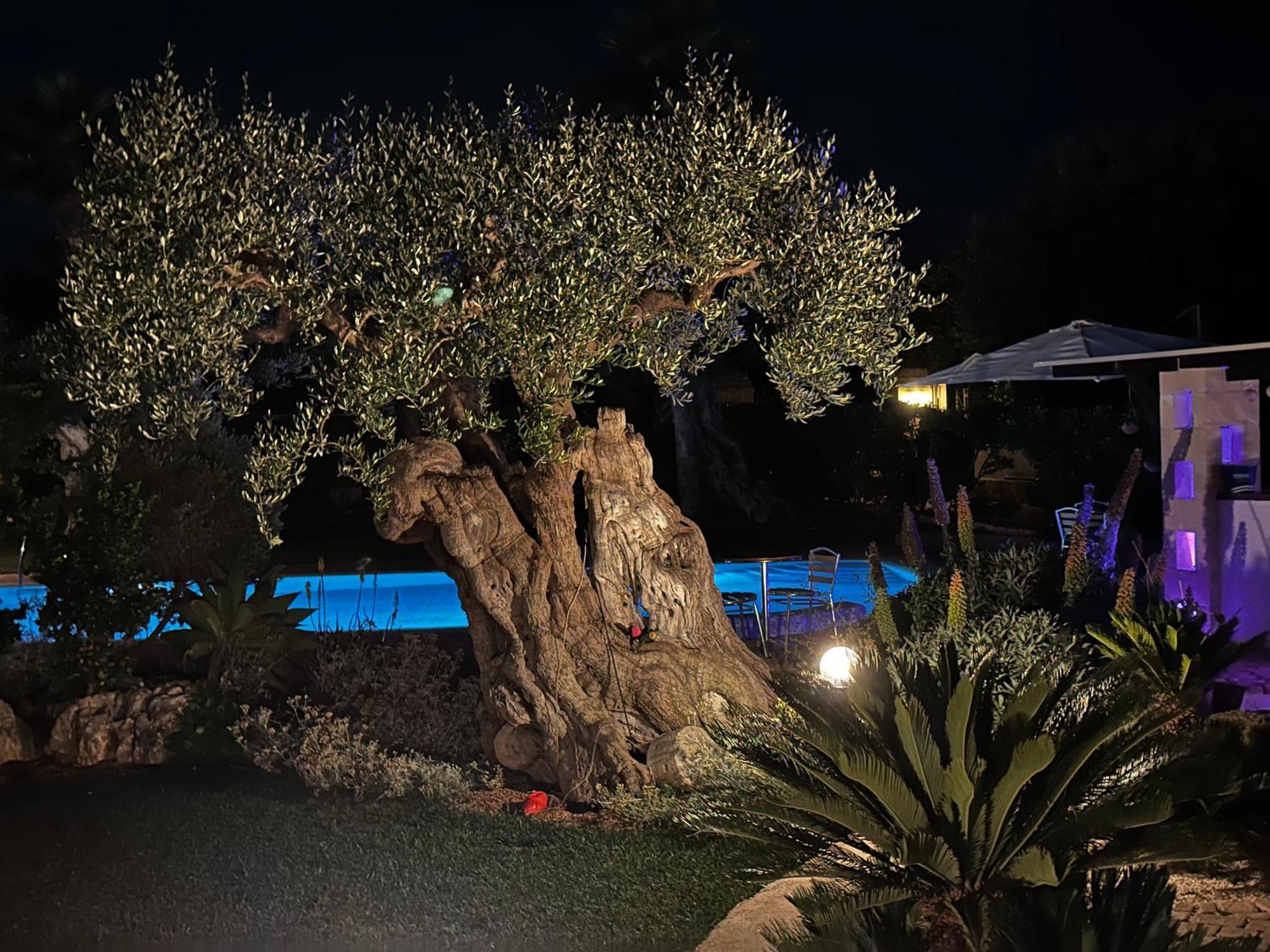 Alla Villa Di Angelo Монополі Номер фото